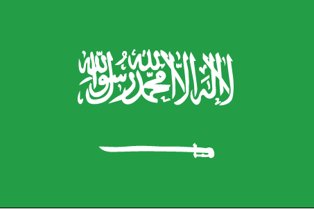 پاکستان کی مدینہ میں حوثیوں کے حملے کی سخت مذمت، سعودی عرب کے ساتھ مکمل یکجہتی کا اعلان
