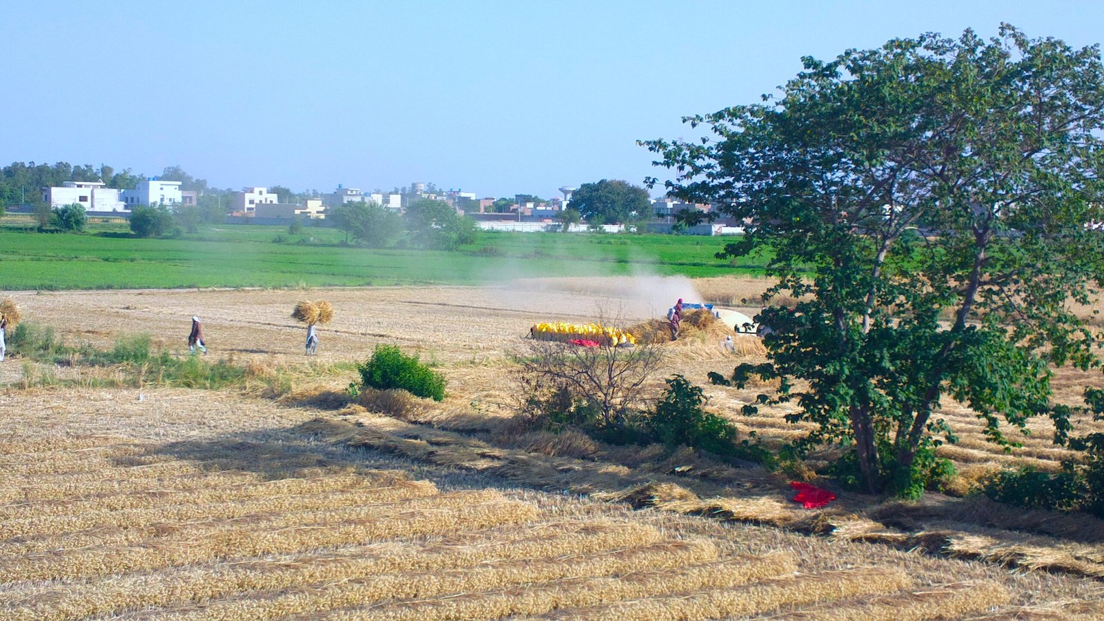 PMD forecasts dry, hot weather across Pakistan